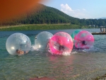 Foto0017